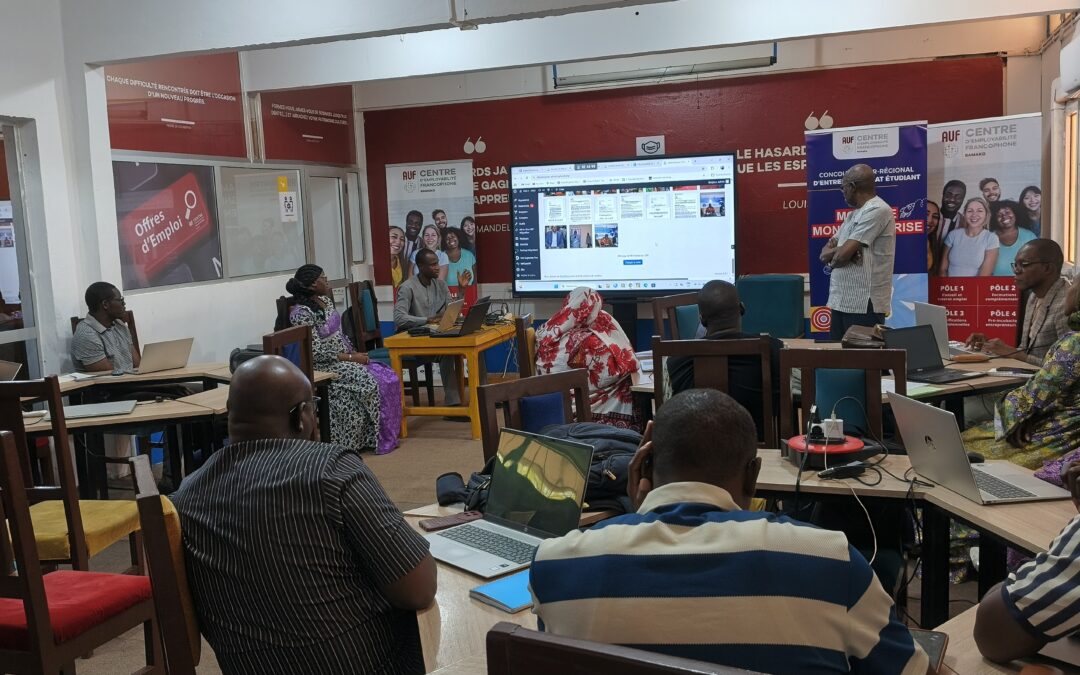 3ème jour de formation des techniciens de FIER II sur le site web.