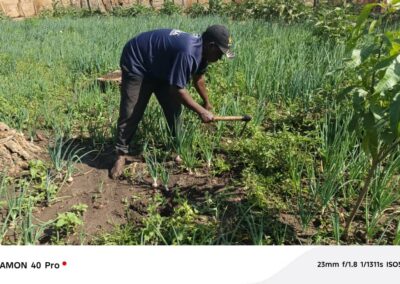 FIER II Koulikoro : Un jeune de Narena qui a fait du maraichage un levier de développement.