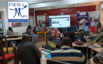 3ème Jour de la formation des agents de FIER II sur le SITE WEB