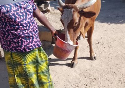 Cercle de Kolokani, commune de Tioribougou, village de Dialla Yékété, Tel : 77600375