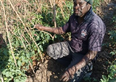Cercle de Kolokani, commune de Nossombougou, village de Pentierebougou, Tel : 78436250