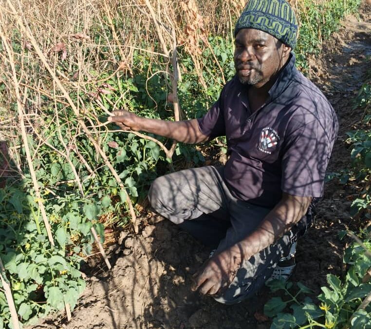Cercle de Kolokani, commune de Nossombougou, village de Pentierebougou, Tel : 78436250