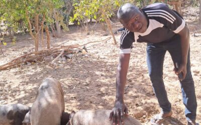 Cercle de Kolokani, commune de Kolokani, village de Kolokani, Tel : 93399646