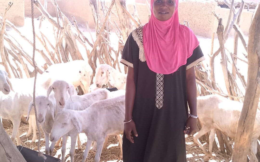 Cercle de Banamba, commune de Toucoroba, village de Touba Sylla, Tel : 2416617/61260543