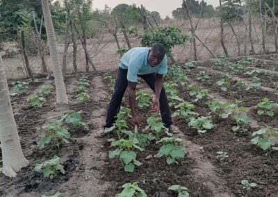 Cercle de Kita commune de Bendougou, village de Dialaya, Tel : 72673556/90185007/90398344