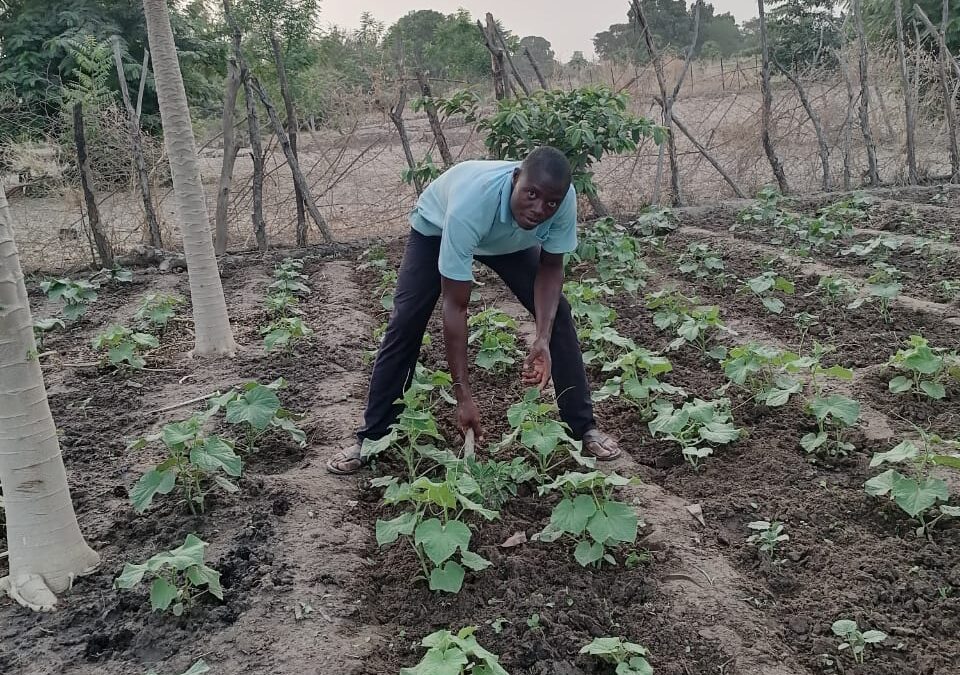 Cercle de Kita commune de Bendougou, village de Dialaya, Tel : 72673556/90185007/90398344