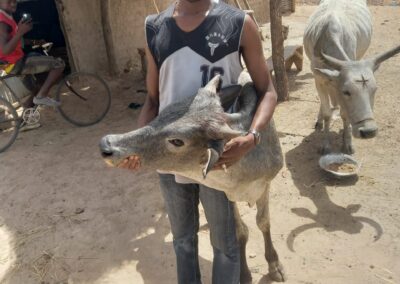 Cercle de Kita, commune de Makono, village de Sanassaba, Tel : 63 91 78 93.