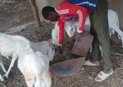 Cercle de Baraouli, communne de Konobougou, village de Diéboulougou,Tel : 93912416.