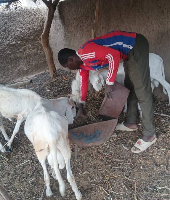 Cercle de Baraouli, communne de Konobougou, village de Diéboulougou,Tel : 93912416.