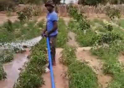 Cercle de Bla, commune de Falo, village de Sintala, Tel : 70487509