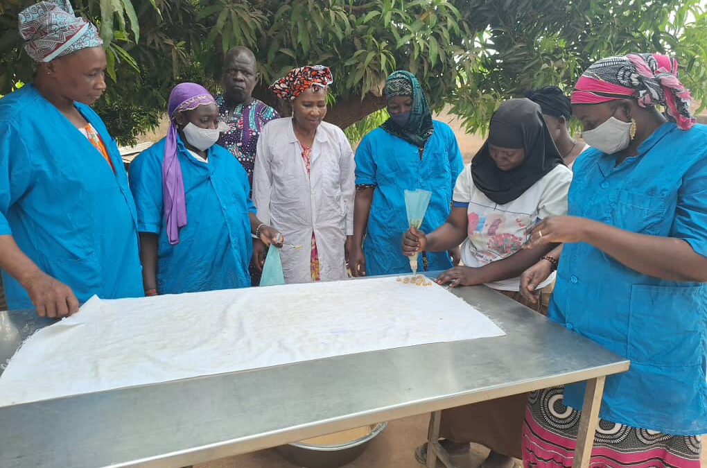 Loulouni : Pari gagné d’un groupement de femmes dans une filière agricole émergente