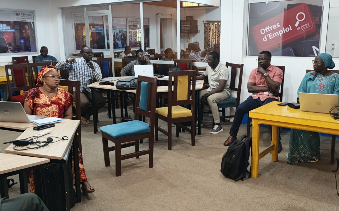 Réussir son site WEB : Renforcement de capacite des techniciens du projet FIER II en animation du site web du projet.