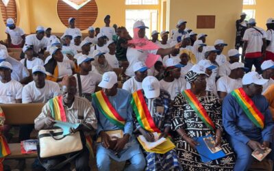 In Kolondièba, FIER II Sikasso relies on 613 young rural entrepreneurs